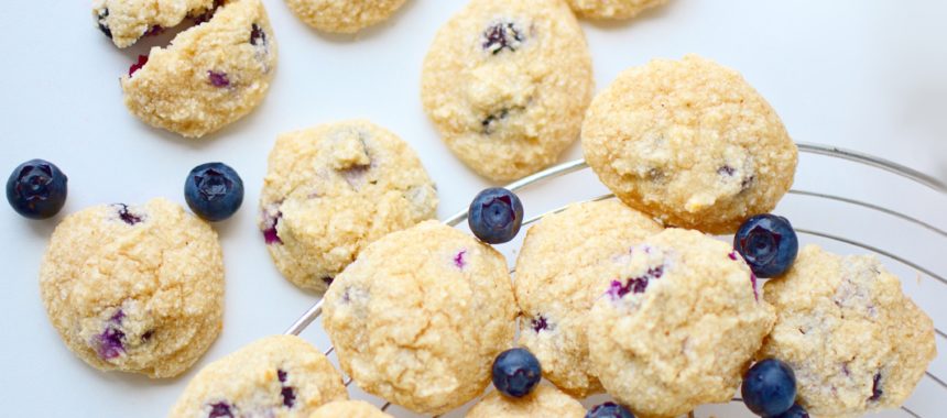 Blueberry Cookies